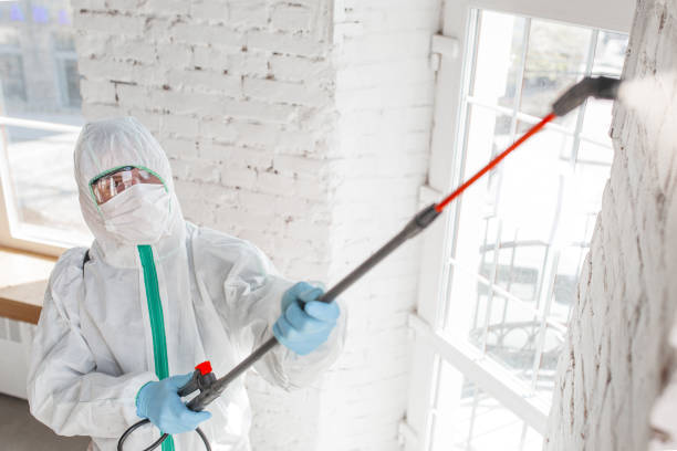 Best Residential Mold Inspection & Testing  in Alto, TX