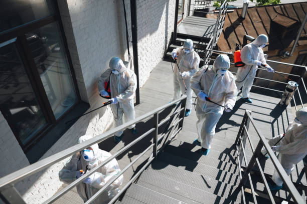 Best Forensic Mold Investigation  in Alto, TX