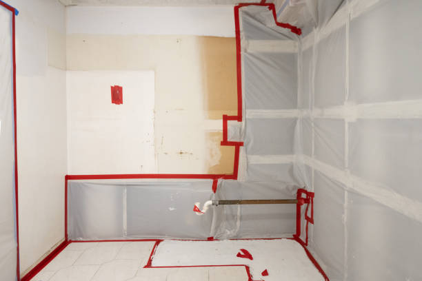 Best Crawl Space Mold Remediation  in Alto, TX