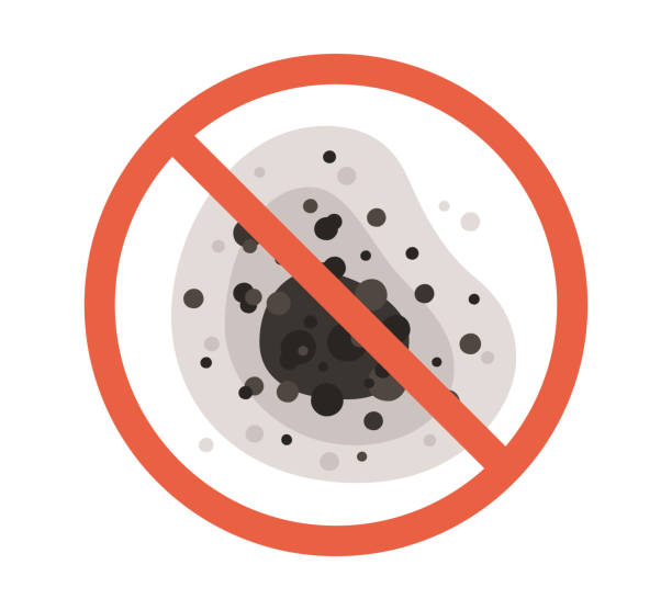 Best Mold Documentation for Insurance Claims  in Alto, TX