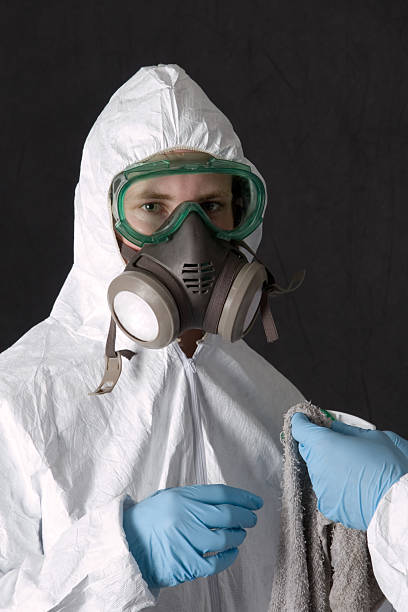 Best Mold Odor Removal Services  in Alto, TX